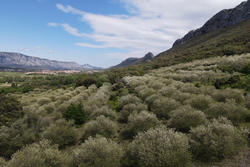Vente terrain agricole Saint-Paul-de-Fenouillet  