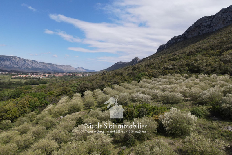 Vente terrain agricole Saint-Paul-de-Fenouillet  
