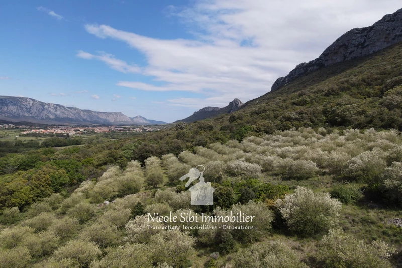 Vente terrain agricole Saint-Paul-de-Fenouillet  