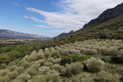 Vente terrain agricole Saint-Paul-de-Fenouillet  