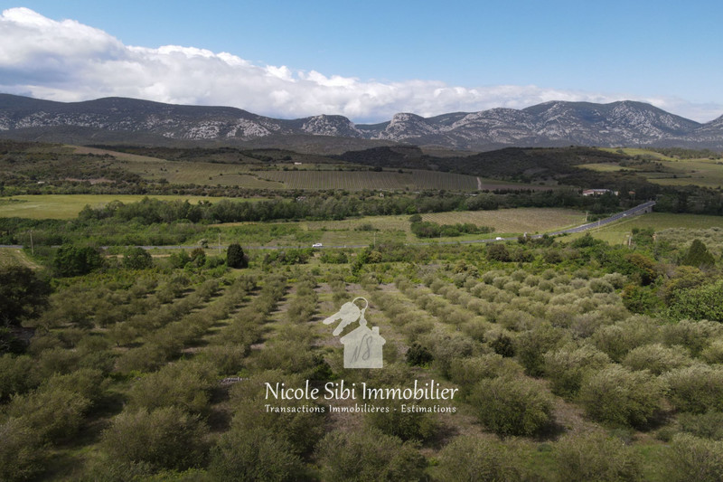 Vente terrain agricole Saint-Paul-de-Fenouillet  