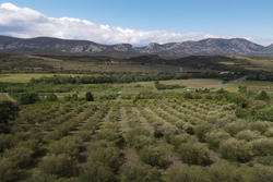 Vente terrain agricole Saint-Paul-de-Fenouillet  