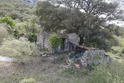Vente terrain agricole Saint-Paul-de-Fenouillet  