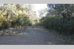 Vente terrain Montauriol  