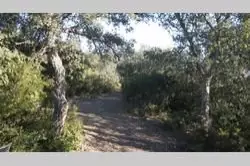 Vente terrain Montauriol  
