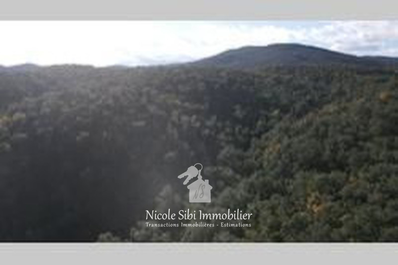 Vente terrain Montauriol  