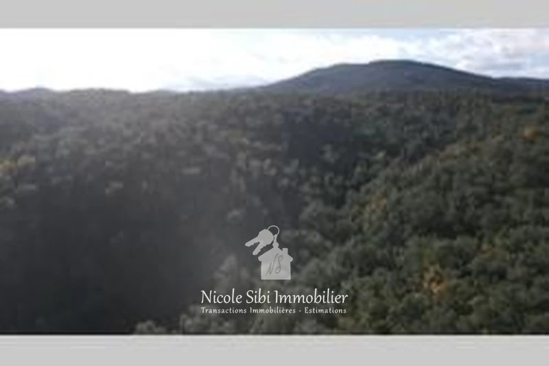 Vente terrain Montauriol  