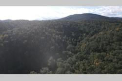 Vente terrain Montauriol  