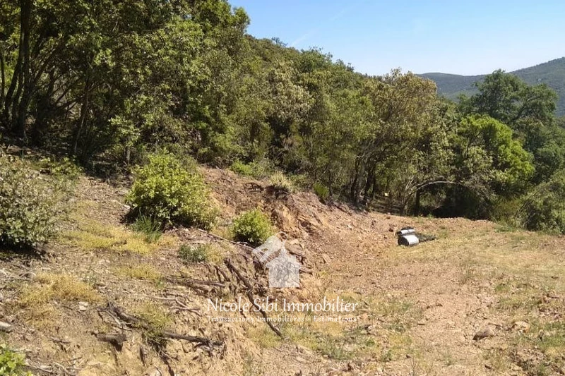 Vente terrain Montbolo  