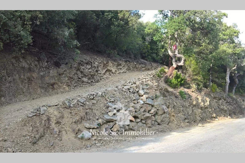 Vente terrain Montbolo  