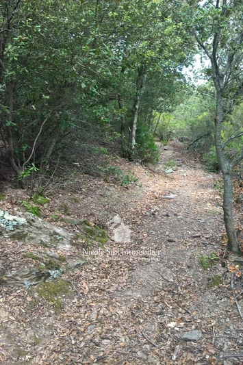 Vente terrain Montbolo  