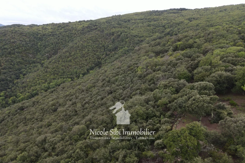 Vente terrain Montbolo  