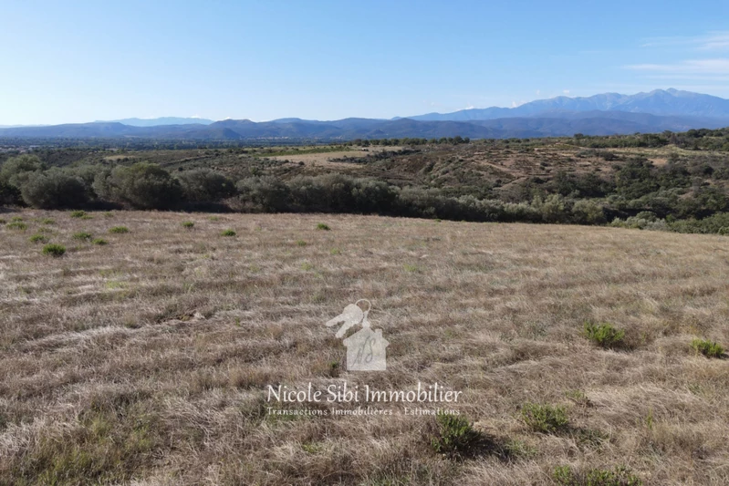 Vente terrain agricole Millas  