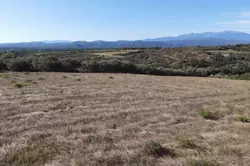 Vente terrain agricole Millas  