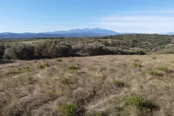 Vente terrain agricole Millas  