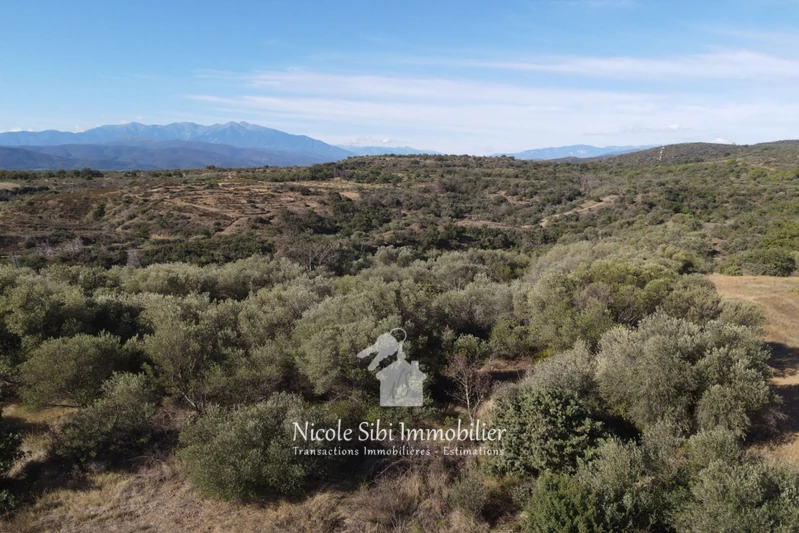 Vente terrain agricole Millas  