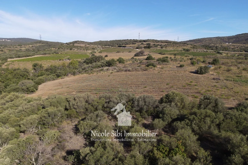 Vente terrain agricole Millas  