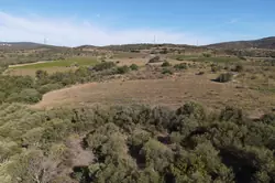 Vente terrain agricole Millas  