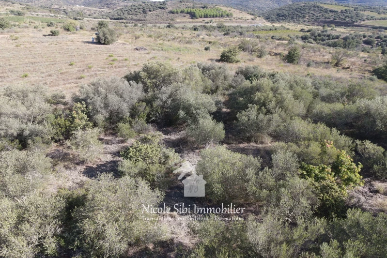 Vente terrain agricole Millas  