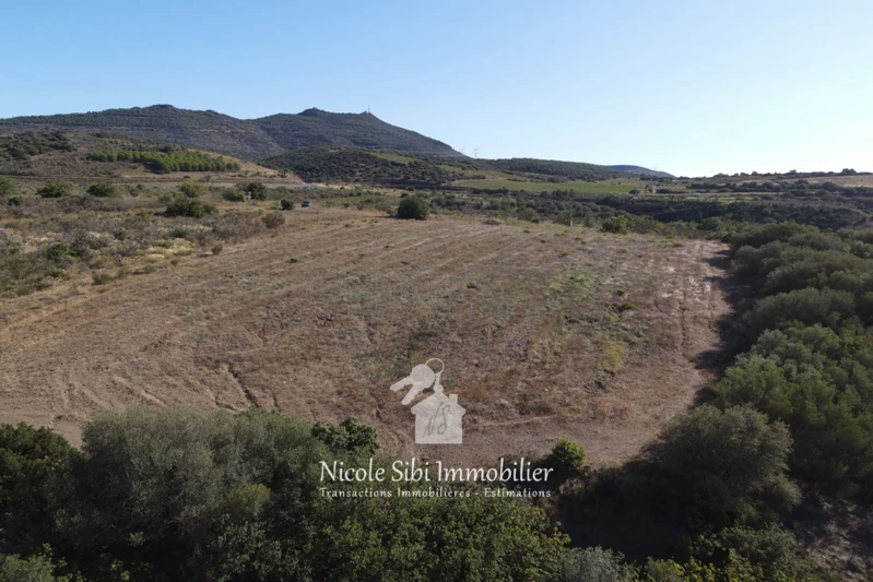 Vente terrain agricole Millas  