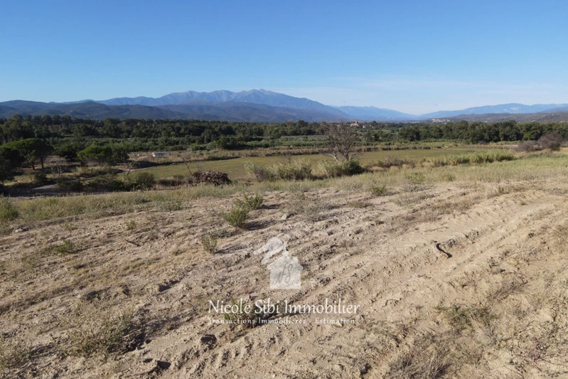 Vente terrain Millas  