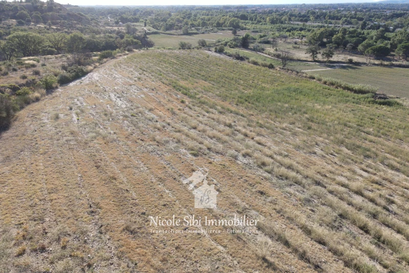 Vente terrain Millas  