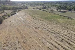 Vente terrain Millas  
