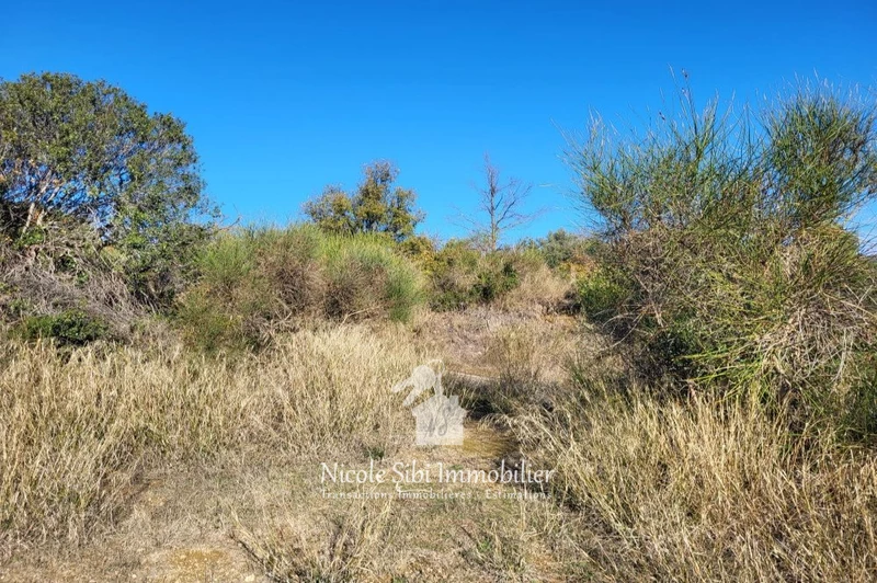 Vente terrain Millas Vente terrain Millas