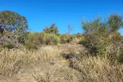 Vente terrain Millas  