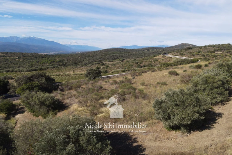 Vente terrain agricole Millas  