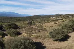 Vente terrain agricole Millas  