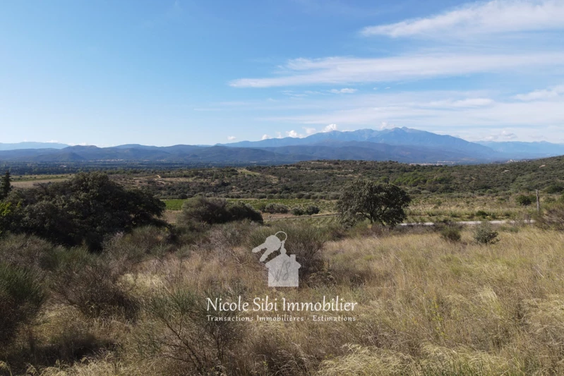 Vente terrain agricole Millas  