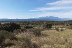 Vente terrain agricole Millas  