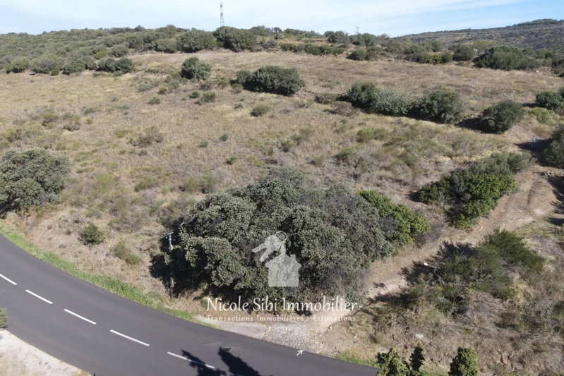 Vente terrain agricole Millas  