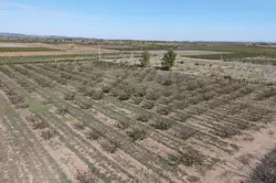 Vente terrain agricole Espira-de-l'Agly  