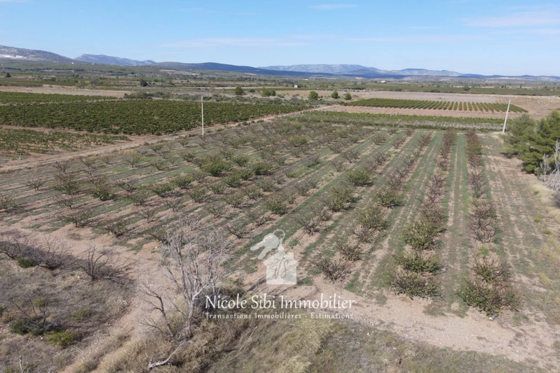 Vente terrain agricole Espira-de-l'Agly  