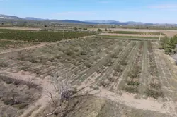 Vente terrain agricole Espira-de-l'Agly  