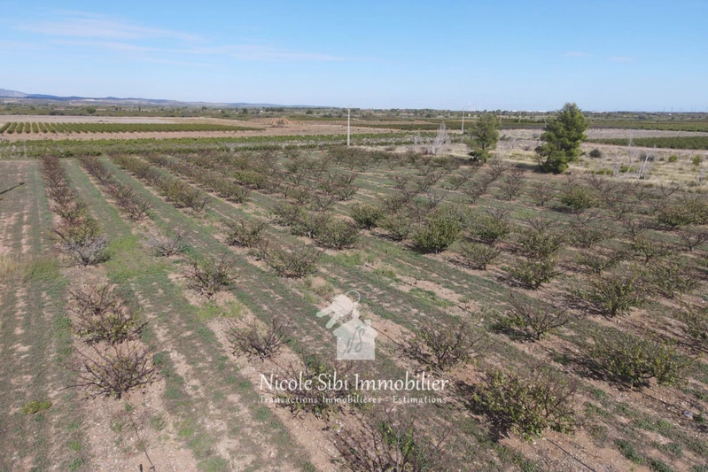 Vente terrain agricole Espira-de-l'Agly  