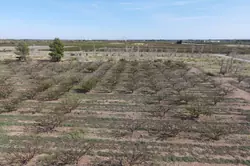 Vente terrain agricole Espira-de-l'Agly  