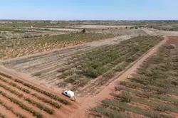 Vente terrain agricole Espira-de-l'Agly  