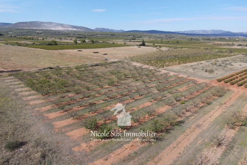 Vente terrain agricole Espira-de-l'Agly  