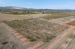 Vente terrain agricole Espira-de-l'Agly  