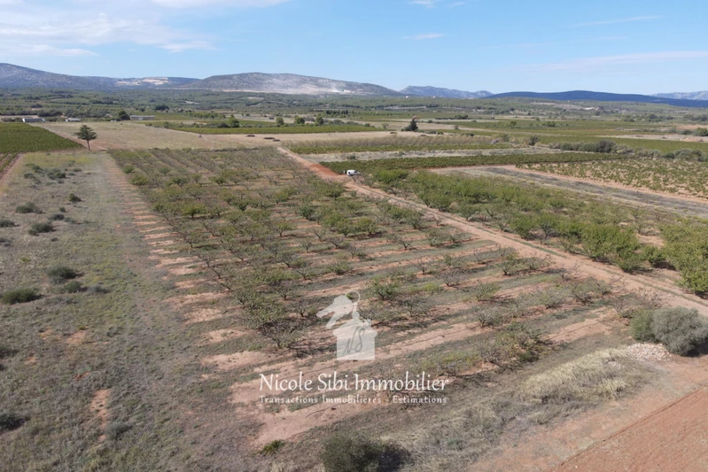Vente terrain agricole Espira-de-l'Agly  