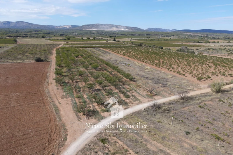 Vente terrain agricole Espira-de-l'Agly  