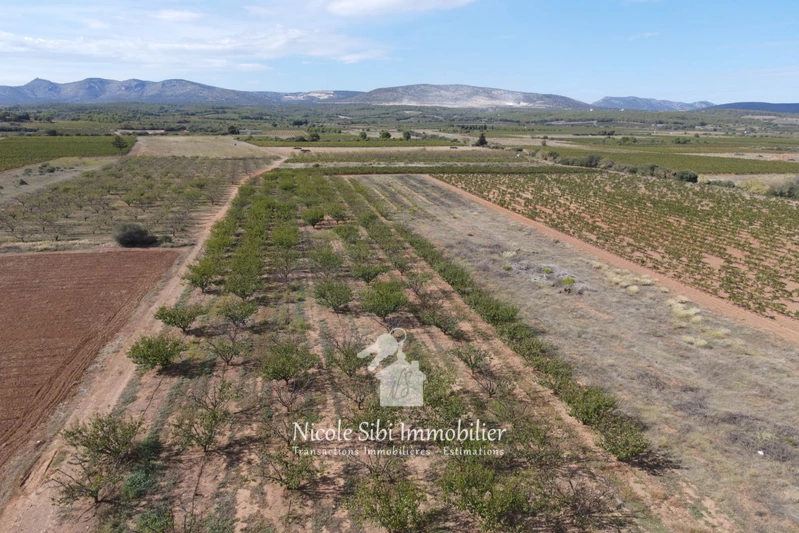 Vente terrain agricole Espira-de-l'Agly  