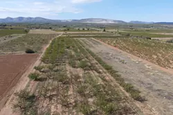 Vente terrain agricole Espira-de-l'Agly  
