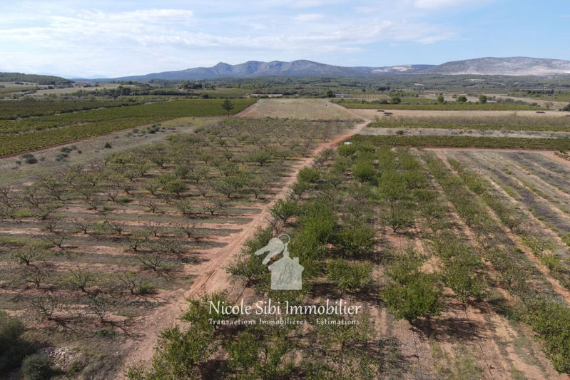 Vente terrain agricole Espira-de-l'Agly  