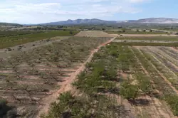 Vente terrain agricole Espira-de-l'Agly  