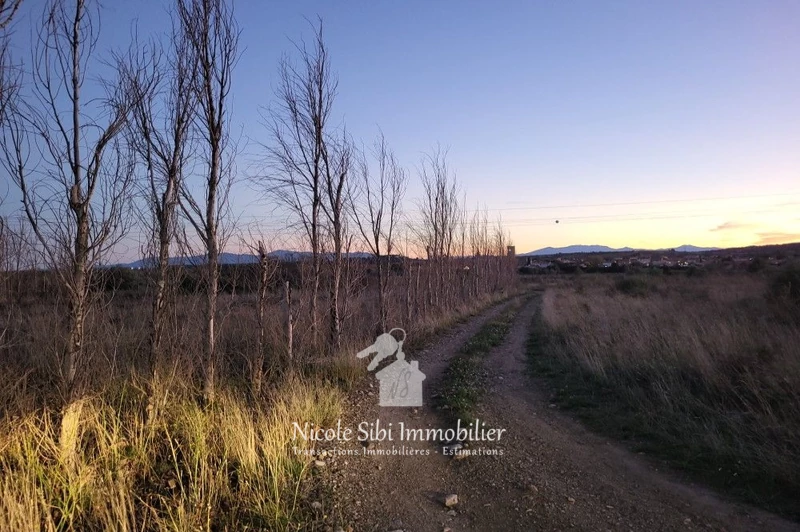 Vente terrain agricole Espira-de-l'Agly Vente terrain agricole Espira-de-l'Agly