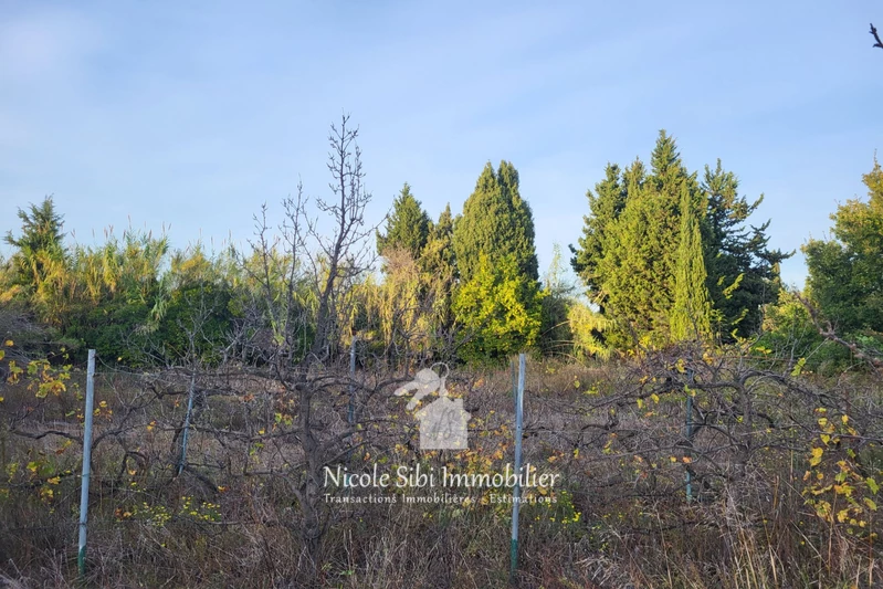 Vente terrain agricole Corneilla-la-Rivière Vente terrain agricole Corneilla-la-Rivière